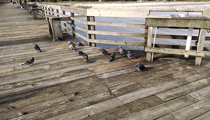 board walk