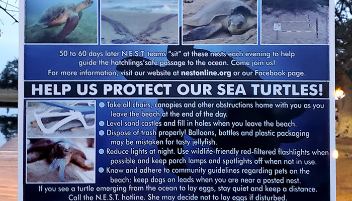 sign about protecting sea turtles